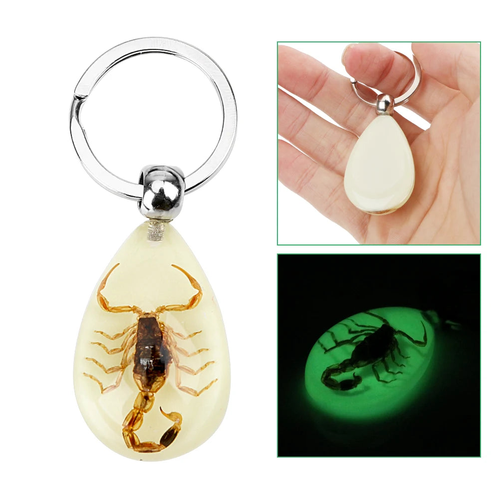 Car Keyring Keychain Handbag Wallet Pendant Noctilucent Key Rings Scorpion Amber Pendant Creative Scorpion Key Holder Default Title