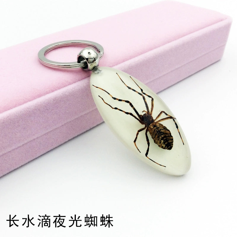 Insect Specimen Artificial Amber Car Key Ring Key Pendant Personality Creative Pendants Stainless Steel Key Case for Men Long water droplets luminous Spider