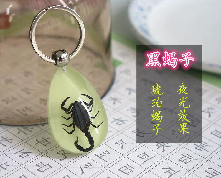 Amber Keychain Men's and Women's Creative Gifts for Children Golden Cicada Scorpion Beetle Spider Luminous Insect Specimen Pendant Black Scorpion (luminous)