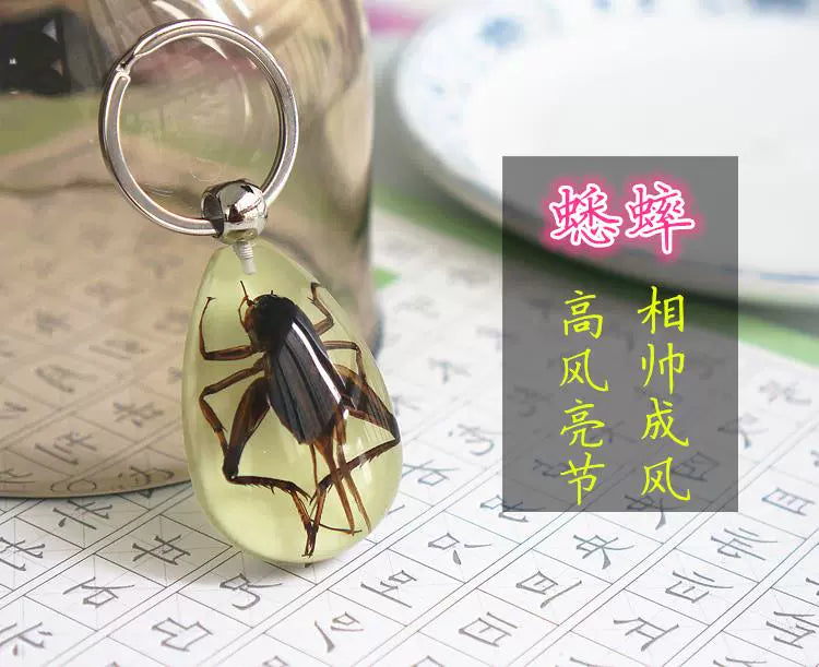 Amber Keychain Men's and Women's Creative Gifts for Children Golden Cicada Scorpion Beetle Spider Luminous Insect Specimen Pendant Cricket (luminous)