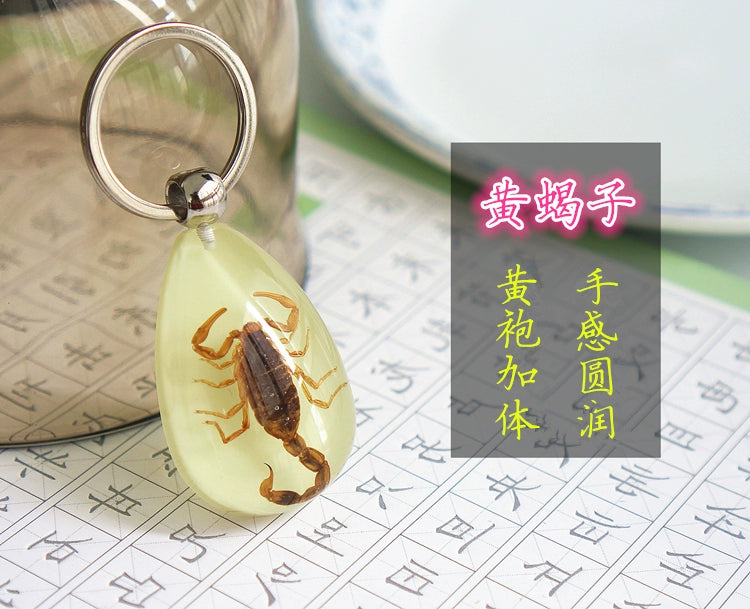 Amber Keychain Men's and Women's Creative Gifts for Children Golden Cicada Scorpion Beetle Spider Luminous Insect Specimen Pendant Yellow Scorpion (luminous)