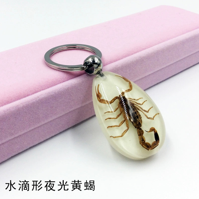Insect Specimen Artificial Amber Car Key Ring Key Pendant Personality Creative Pendants Stainless Steel Key Case for Men Drop-shaped luminous yellow scorpion
