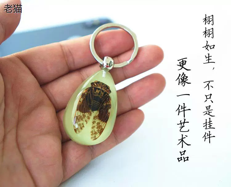 Amber Keychain Men's and Women's Creative Gifts for Children Golden Cicada Scorpion Beetle Spider Luminous Insect Specimen Pendant