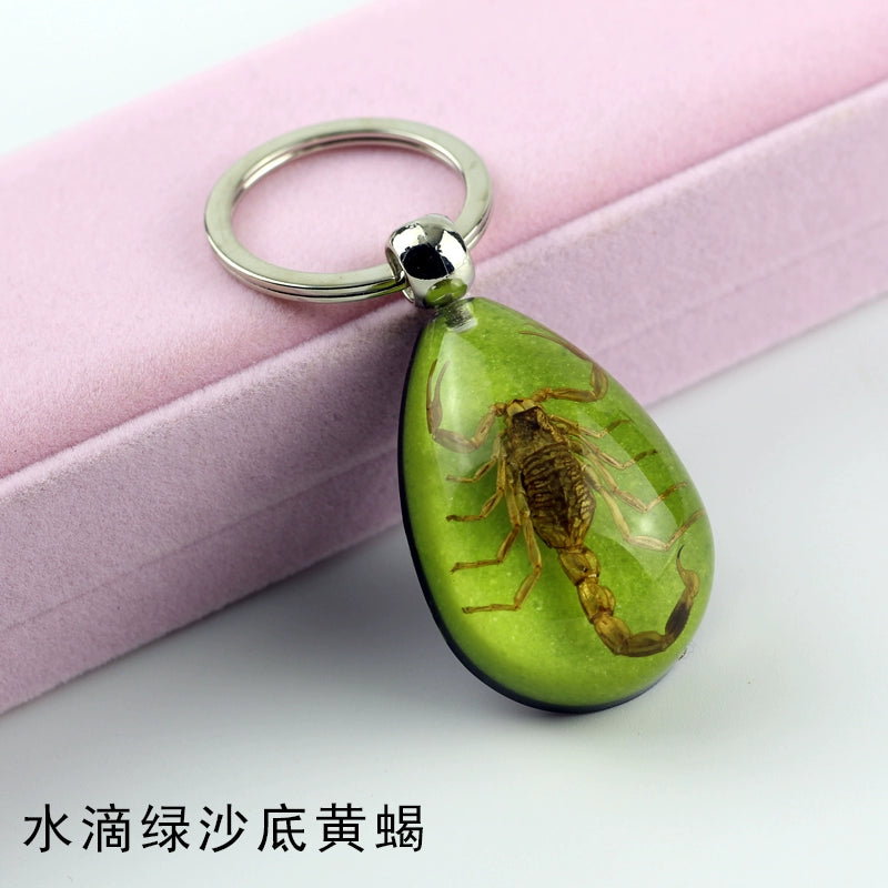Insect Specimen Artificial Amber Car Key Ring Key Pendant Personality Creative Pendants Stainless Steel Key Case for Men Drop-shaped green sand-bottom yellow scorpion