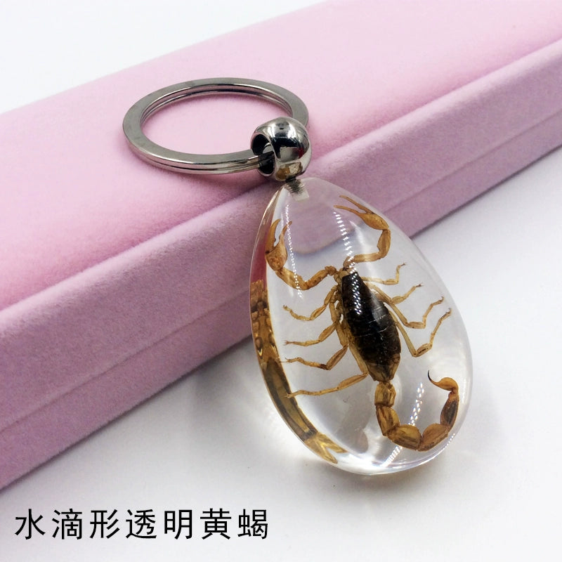 Insect Specimen Artificial Amber Car Key Ring Key Pendant Personality Creative Pendants Stainless Steel Key Case for Men Gold(Drop-shaped transparent yellow scorpion)
