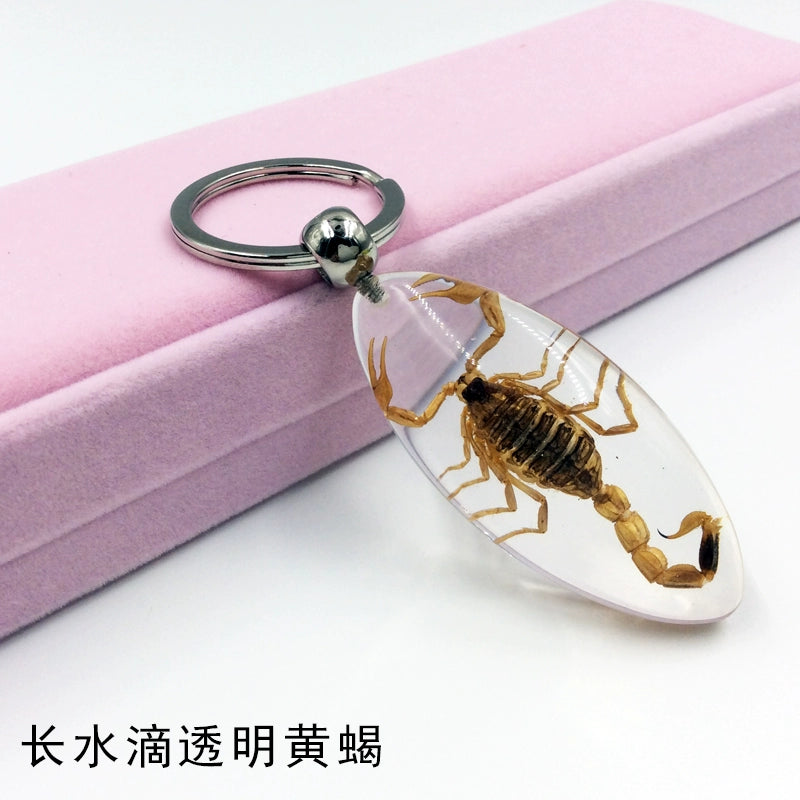 Insect Specimen Artificial Amber Car Key Ring Key Pendant Personality Creative Pendants Stainless Steel Key Case for Men Long water drop transparent yellow scorpion