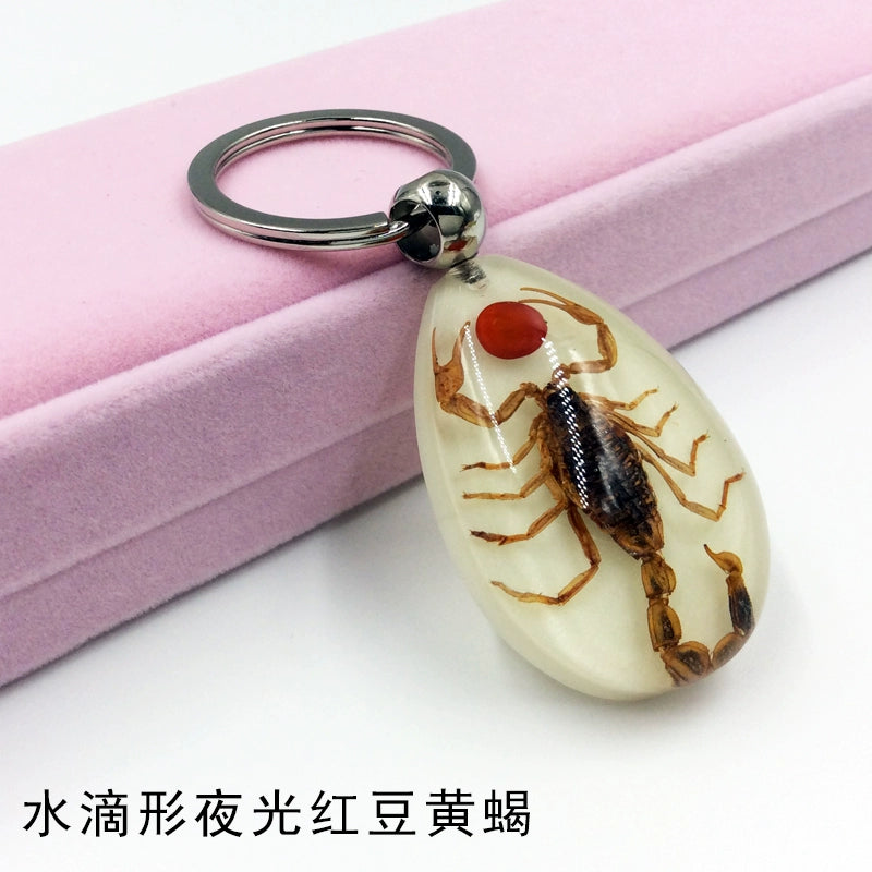 Insect Specimen Artificial Amber Car Key Ring Key Pendant Personality Creative Pendants Stainless Steel Key Case for Men Drop-shaped luminous red bean yellow scorpion