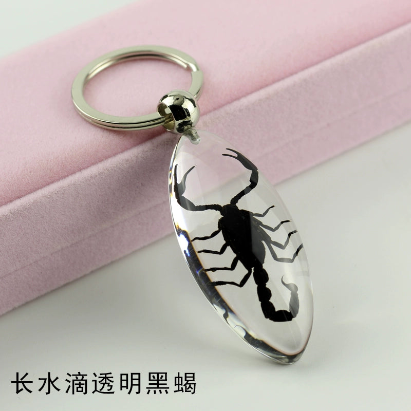 Insect Specimen Artificial Amber Car Key Ring Key Pendant Personality Creative Pendants Stainless Steel Key Case for Men Transparent(Long water drop transparent black scorpion)