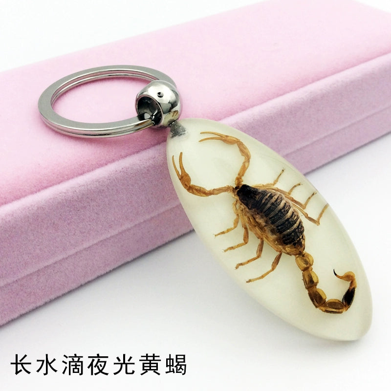 Insect Specimen Artificial Amber Car Key Ring Key Pendant Personality Creative Pendants Stainless Steel Key Case for Men Long water droplets luminous yellow scorpion