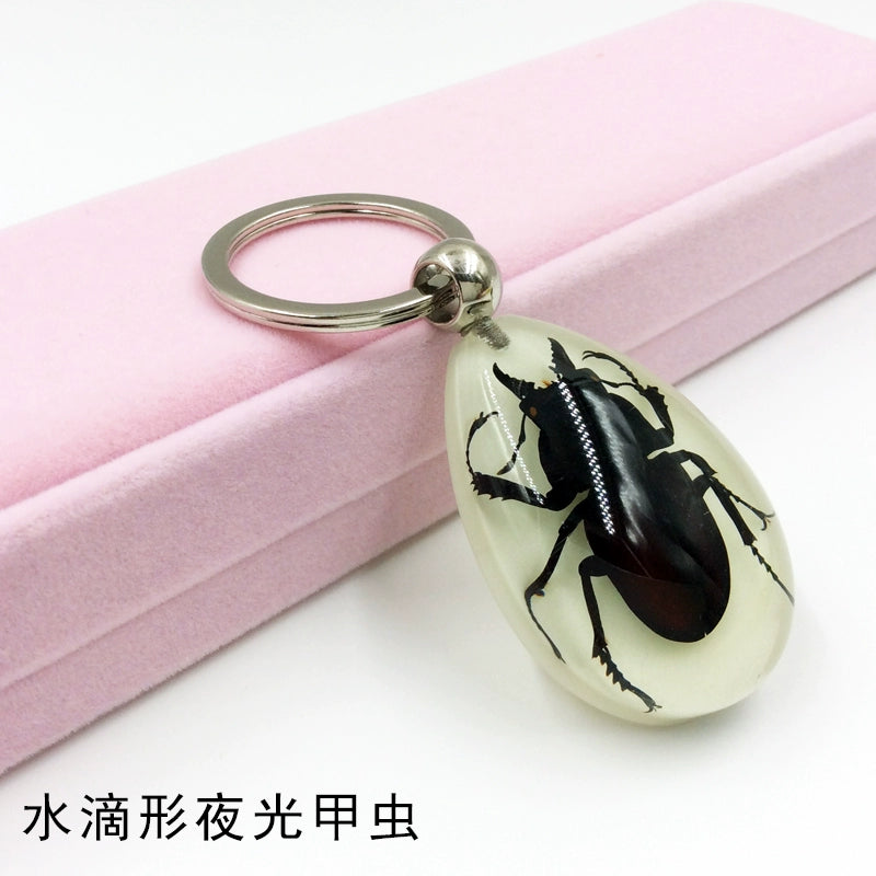 Insect Specimen Artificial Amber Car Key Ring Key Pendant Personality Creative Pendants Stainless Steel Key Case for Men
