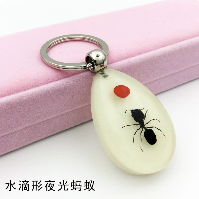 Insect Specimen Artificial Amber Car Key Ring Key Pendant Personality Creative Pendants Stainless Steel Key Case for Men Orange(Drop-shaped luminous ants)