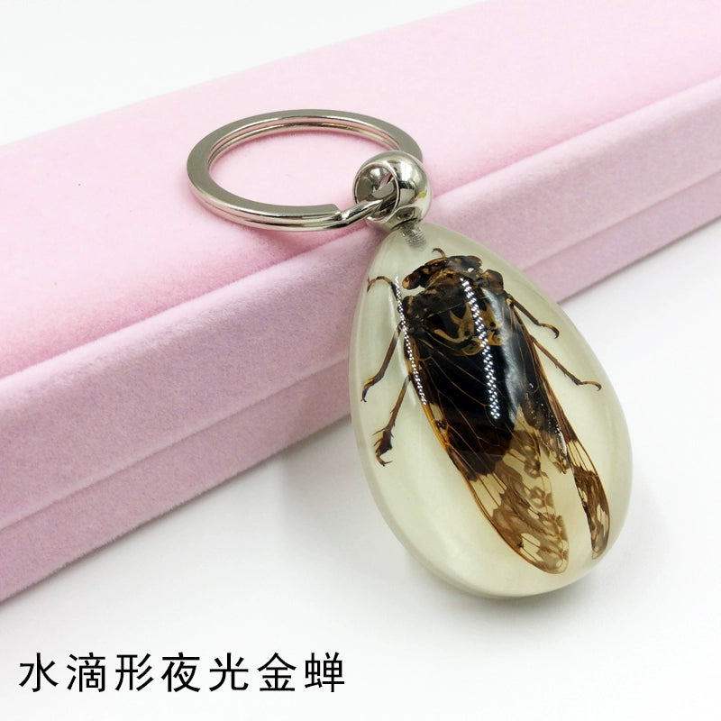 Insect Specimen Artificial Amber Car Key Ring Key Pendant Personality Creative Pendants Stainless Steel Key Case for Men Teardrop-shaped luminous golden cicada