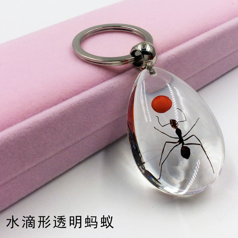 Insect Specimen Artificial Amber Car Key Ring Key Pendant Personality Creative Pendants Stainless Steel Key Case for Men Apricot(Drop-shaped transparent Ant)