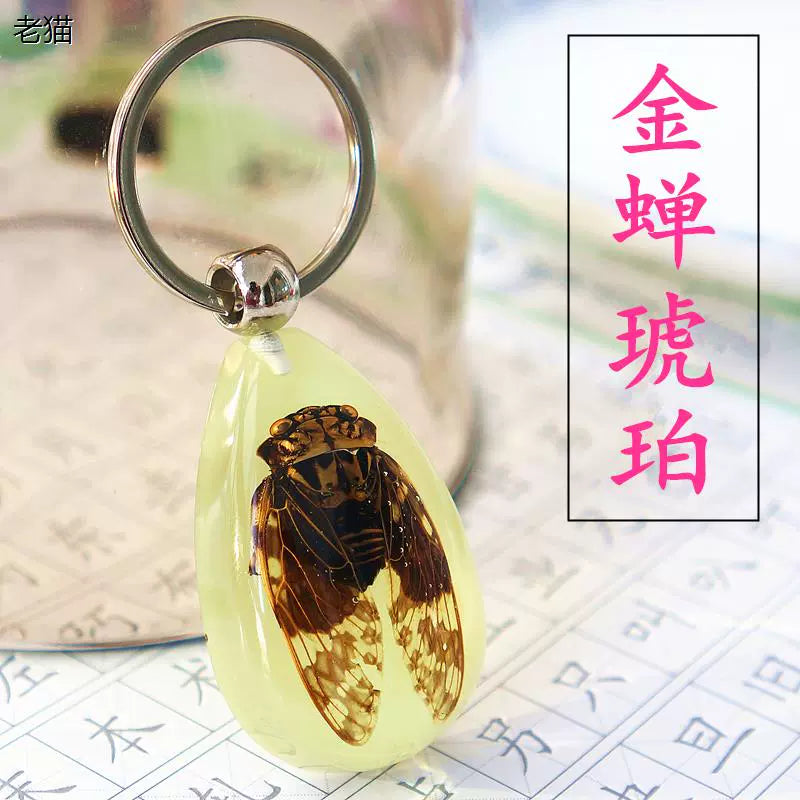 Amber Keychain Men's and Women's Creative Gifts for Children Golden Cicada Scorpion Beetle Spider Luminous Insect Specimen Pendant Big Red Toon (luminous)