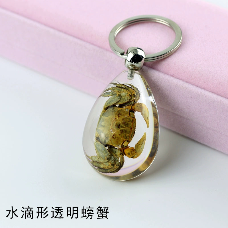 Insect Specimen Artificial Amber Car Key Ring Key Pendant Personality Creative Pendants Stainless Steel Key Case for Men Light Blue(Teardrop-shaped transparent crab)