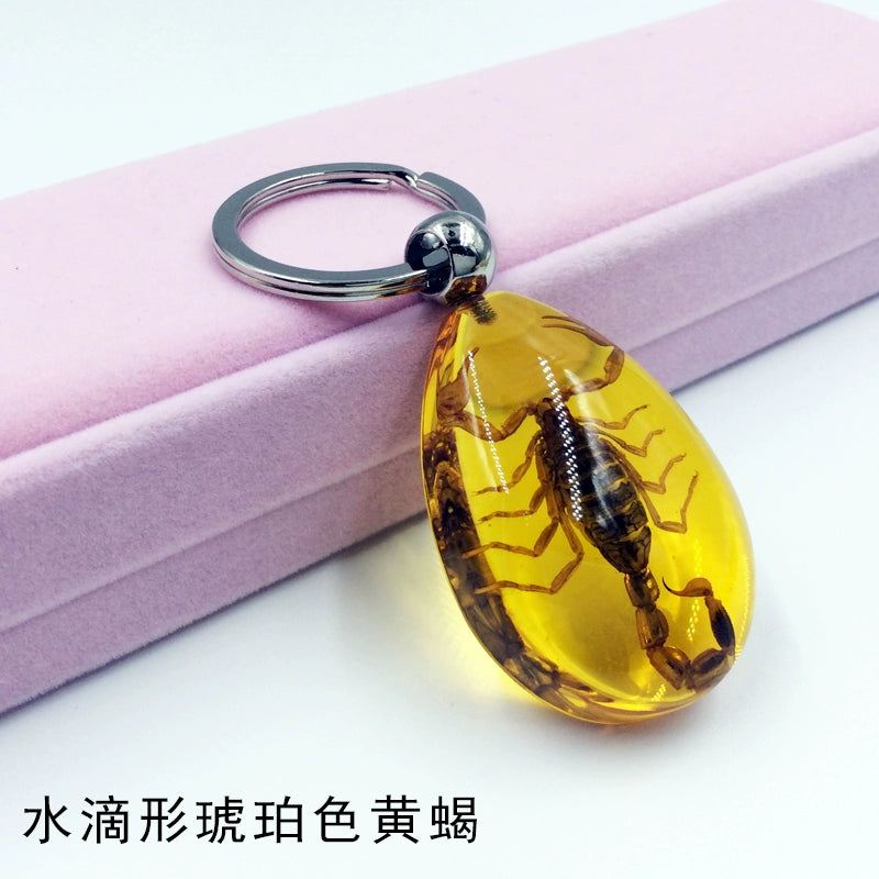 Insect Specimen Artificial Amber Car Key Ring Key Pendant Personality Creative Pendants Stainless Steel Key Case for Men Drop-shaped amber yellow scorpion