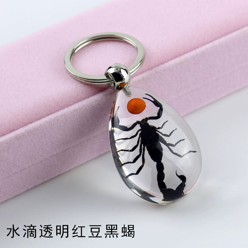 Insect Specimen Artificial Amber Car Key Ring Key Pendant Personality Creative Pendants Stainless Steel Key Case for Men Drop-shaped transparent red bean Black Scorpion