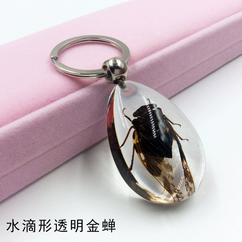 Insect Specimen Artificial Amber Car Key Ring Key Pendant Personality Creative Pendants Stainless Steel Key Case for Men Yellow(Teardrop-shaped transparent Golden Cicada)