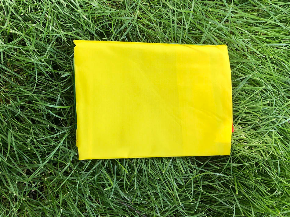 SKY FLAG Benin national flag 90x150cm 3x5ft HIGH quality polyester hanging Benin flag banner indoor outdoor home decoration