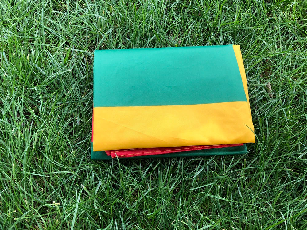 (SKY FLAG)90*150cm Lithuanian Flags 3x5FTS polyester Hanging Lithuania flag banners Outdoor Indoor Big Flag
