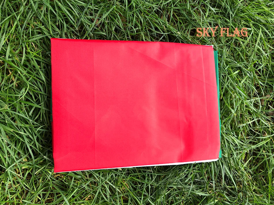 SKY FLAG Hungary Flag 90x150cm The Hungarian hanging polyester flags Hungary flags and Indoor outdoor decoration