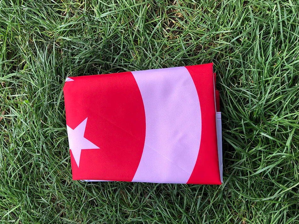 SKY FLAG 90X150cm Lion City SG SGP Republic Singapore Flag High Quality Polyester Fabrics