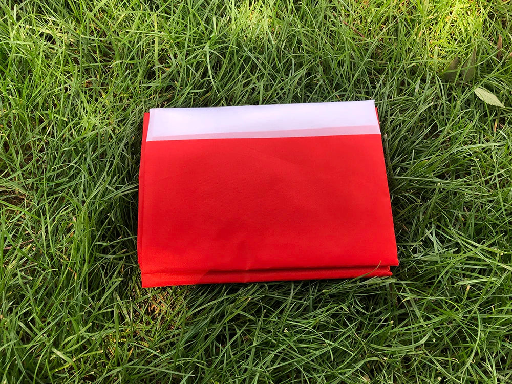 SKY FLAG  Denmark Flag90*150cm High Quality Polyester hanging banner 5*3 FT  DNK DK Danmark Denmark flag