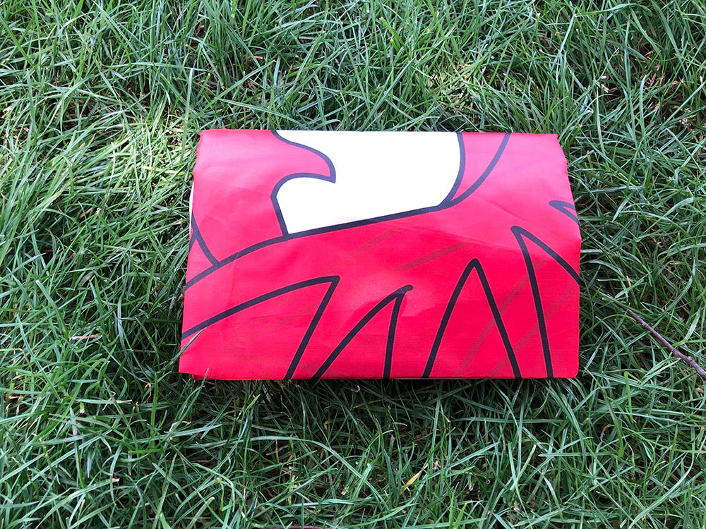 SKY FLAG Wales Flag 90*150cm Welsh red Dragon Cymru UK United Kingdom union flag polyester Great Britain Banner