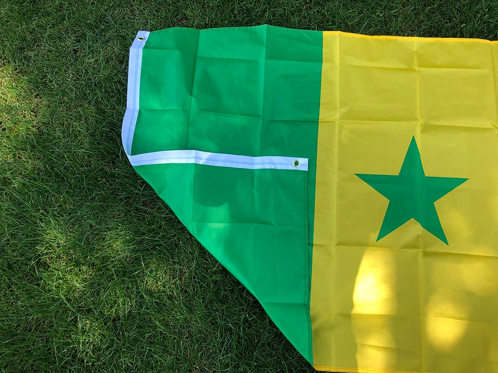 skyflag Senegal flag 90x150cm 3x5 Feet Super Poly football FLAG Indoor Outdoor Senegal Polyester hanging Flags