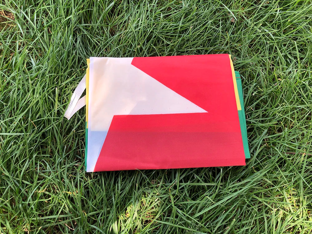 (SKY FLAG)Togo Flag 90X150cm high quality Polyester hanging Togolese Republic National Flags Indoor Outdoor Decoration