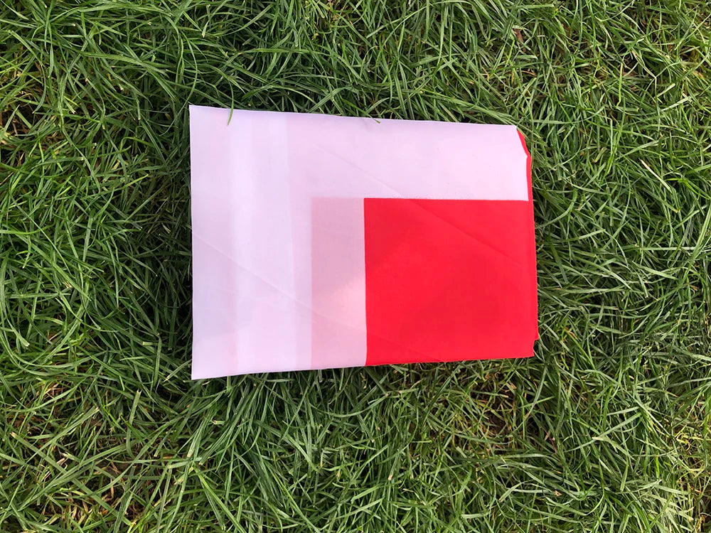 Switzerland flag 3*5 feet polyester hanging flag.90*150cm big banner Swiss flag for decoration