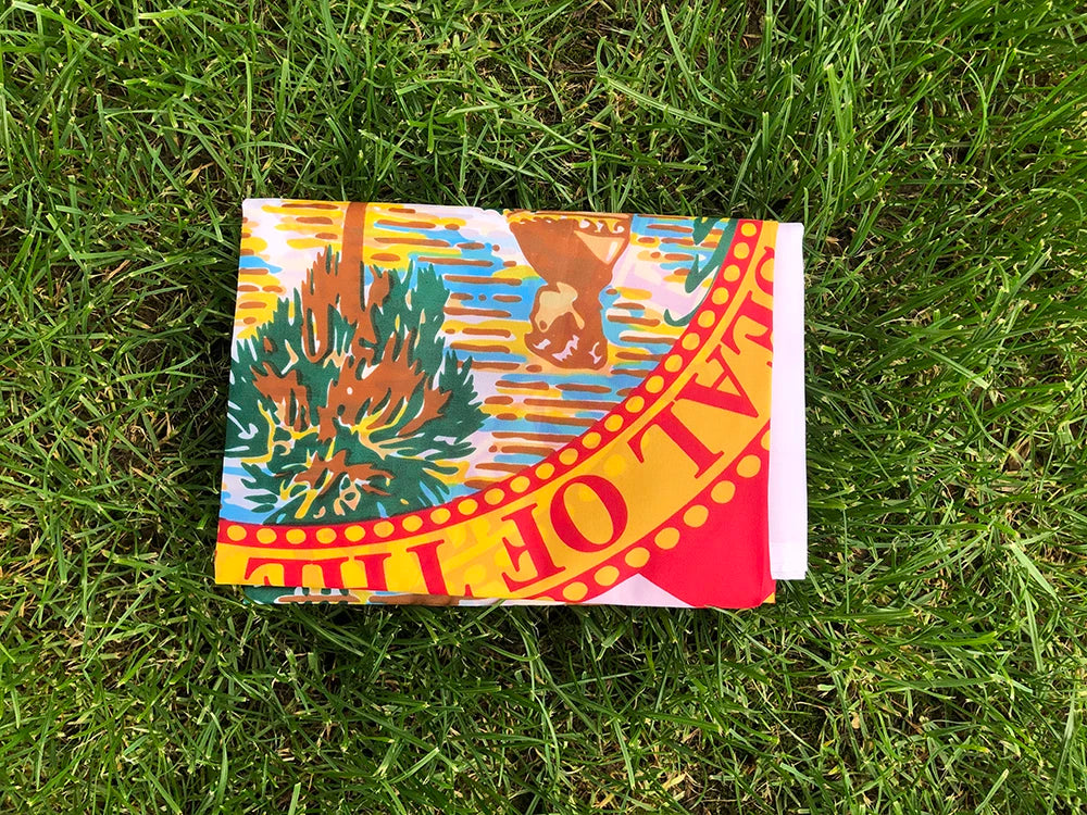 SKY FLAG Florida Flag 3x5Fts 90X150cm double side printed polyester hanging Us Usa State Florida Flag banner for decoration