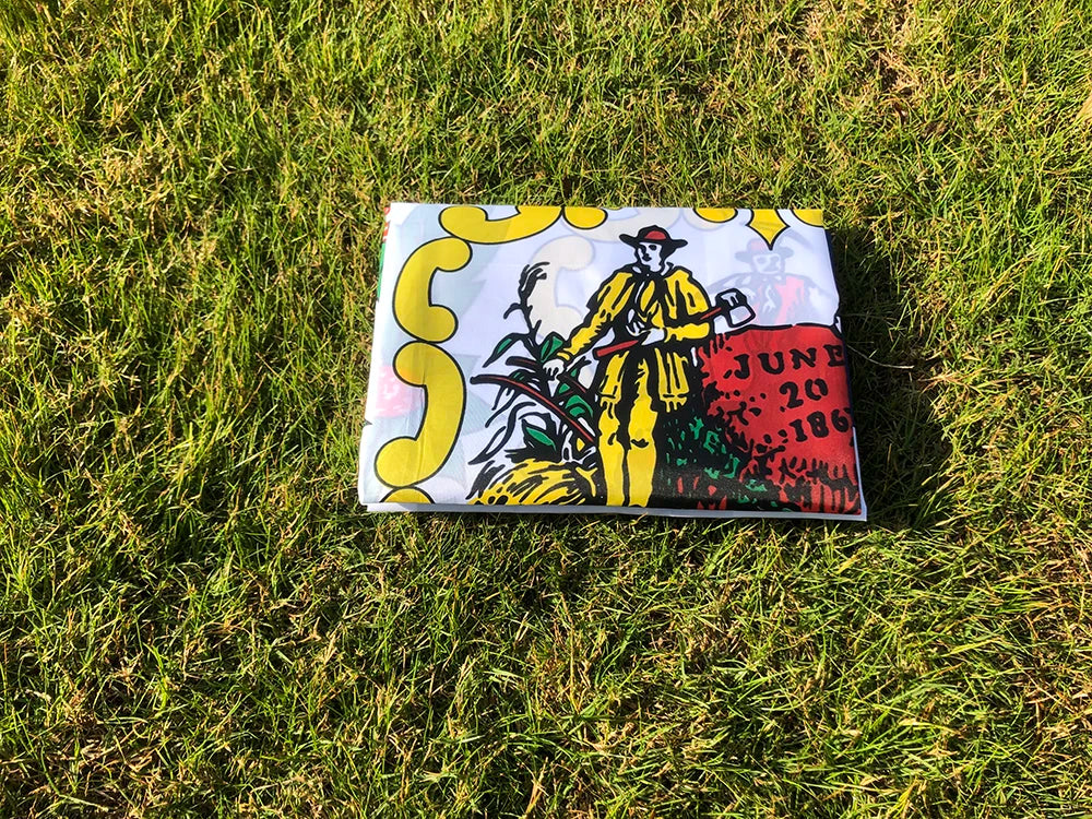 SKY FLAG West Virginia Flag 90x150cm USA West Virginia Flag 3x5ft double penetration  polyester hanging The US State Banner