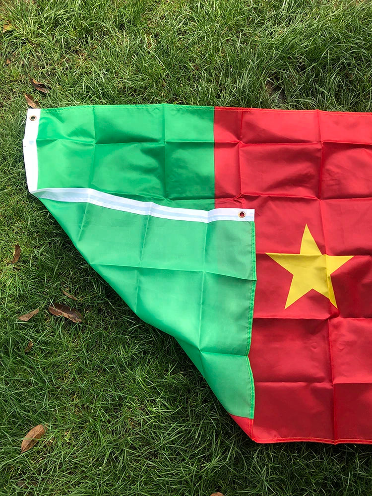 Cameroon flag Banner 90x150cm polyester Hanging Cameroon National flags Cameroon banner home decoration