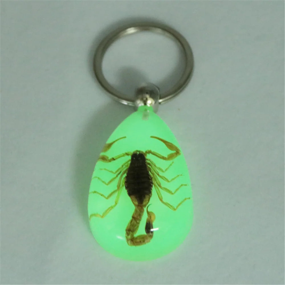 Car luminous amber insect keychain pendant for Citroen 2002 2004 2006 Daewoo c3 c4 2009
