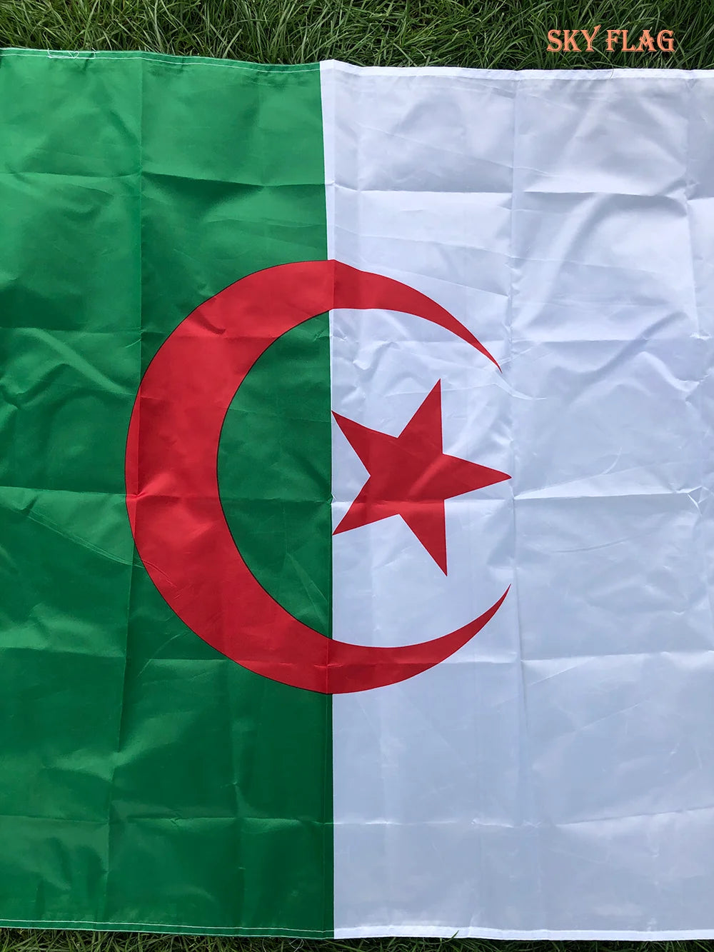 SKY FLAG High Quality ALG Algeria Flag 90x150cm Hanging Polyester Algeria flag National Flag Banner Office Activity parade