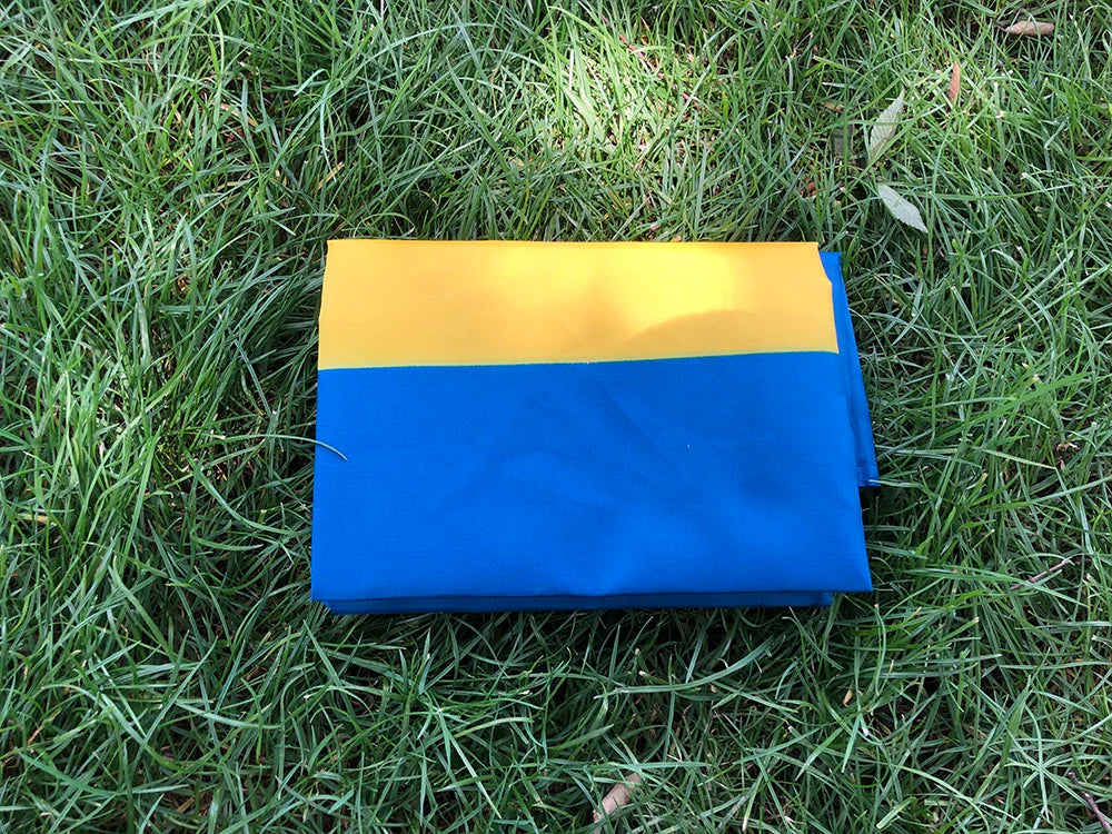 Swedish Flag 3ft x 5ft Hanging  SWE SE The Kingdom of Sweden Flag Polyester standard hanging Flag Banner
