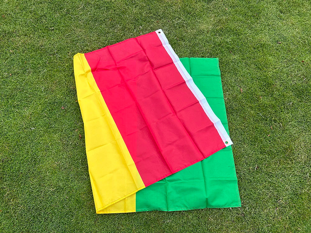 SKY FLAG Guinea Flag 3x5fts 90*150cm polyester hanging Guinea Africa National Flag for Advertising Home decoration Banner