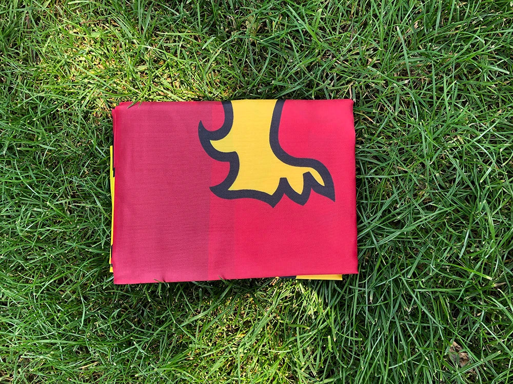 SKY FLAG Sri Lanka Flag 90x150cm High Quality Flying hanging Sri Lanka Banner For Decoration And Activity