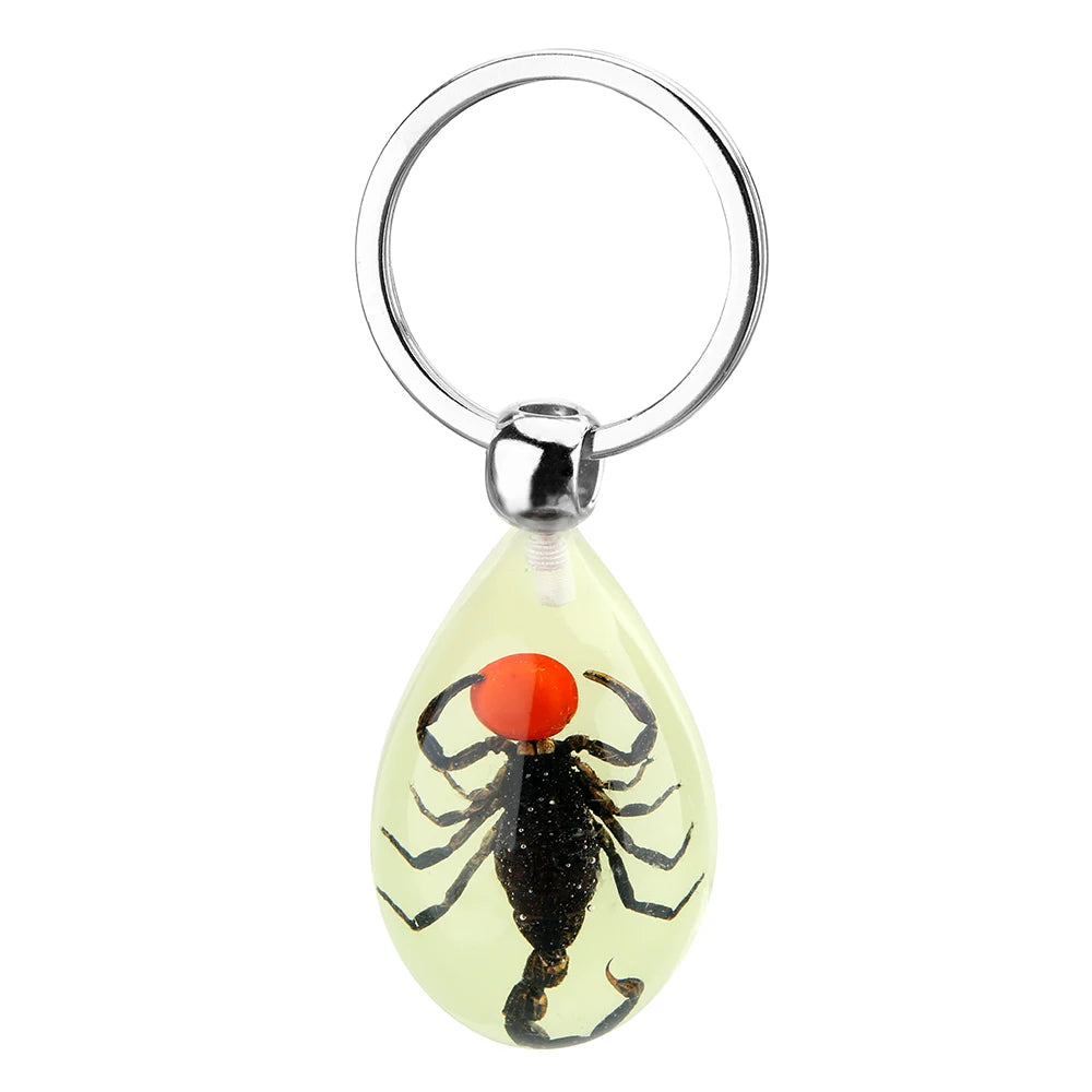 Artificial Amber Insect Car Keyring Scorpion Ant Amber Key Chain Ring Luminous Creative Scorpion Keychain Motorcycle Accessories