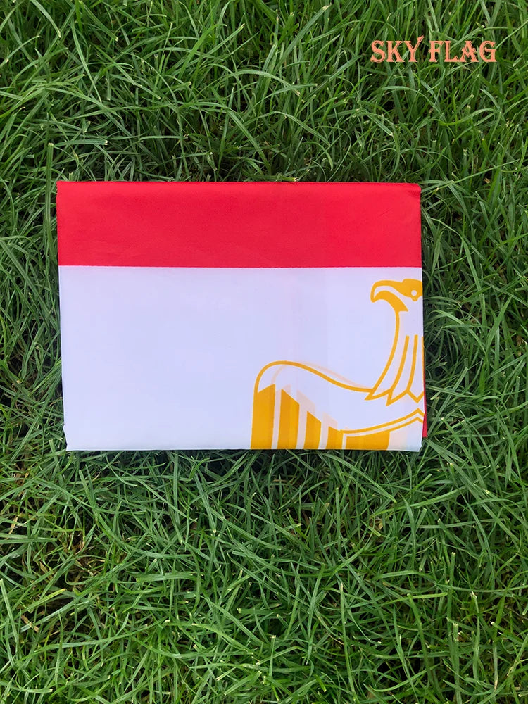 Egypt Flag 90x150cm Egypt flag High Quality Double Sided Printed Polyester Egypt Flag for decor