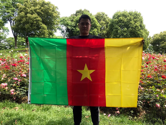 Cameroon flag Banner 90x150cm polyester Hanging Cameroon National flags Cameroon banner home decoration