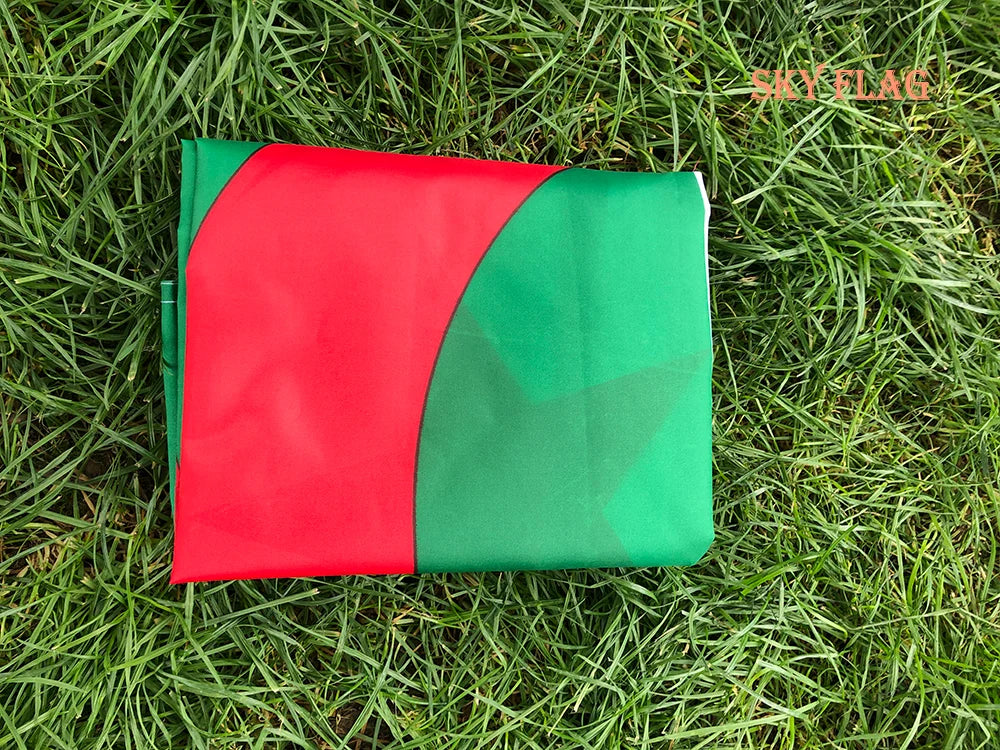 SKY FLAG High Quality ALG Algeria Flag 90x150cm Hanging Polyester Algeria flag National Flag Banner Office Activity parade
