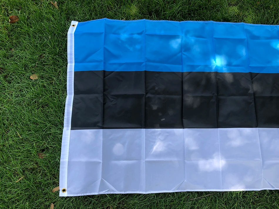 SKY FLAG Estonia flag Banner 90*150cm high quality polyester Hanging Estonia National flag For home Decoration And activity