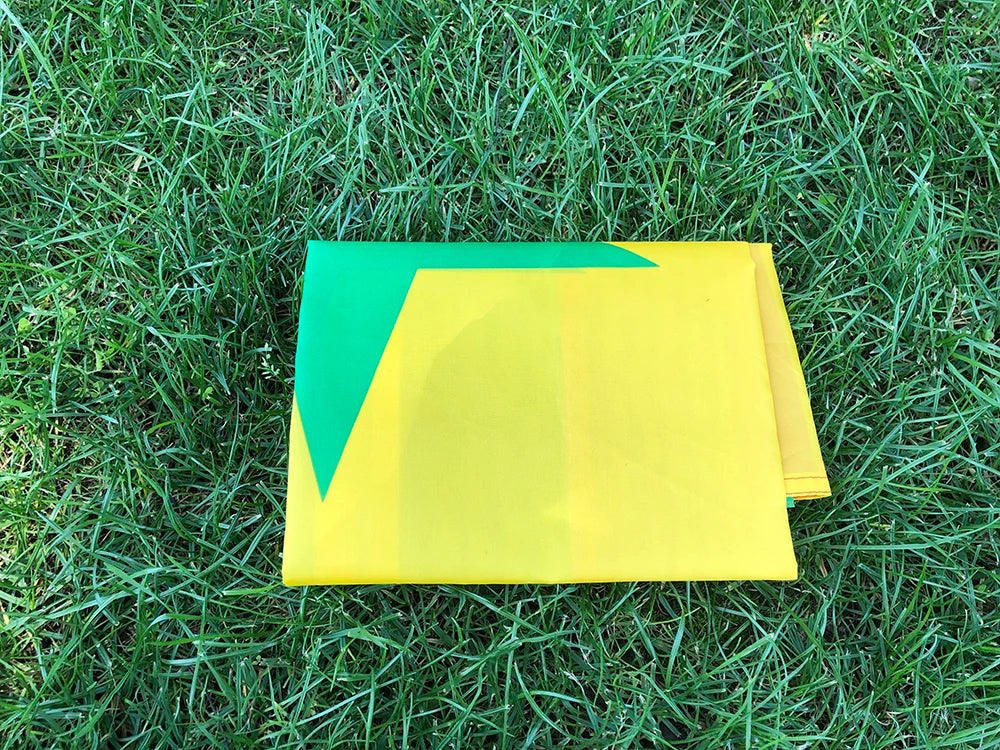 skyflag Senegal flag 90x150cm 3x5 Feet Super Poly football FLAG Indoor Outdoor Senegal Polyester hanging Flags