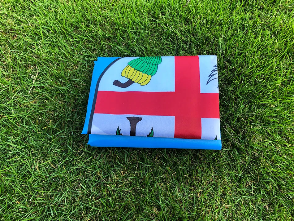 SKY FLAG Fiji Flag 3X5 FT  90x150cm high quality polyester Hanging Fijian National Flags Indoor Outdoor for home Decoration