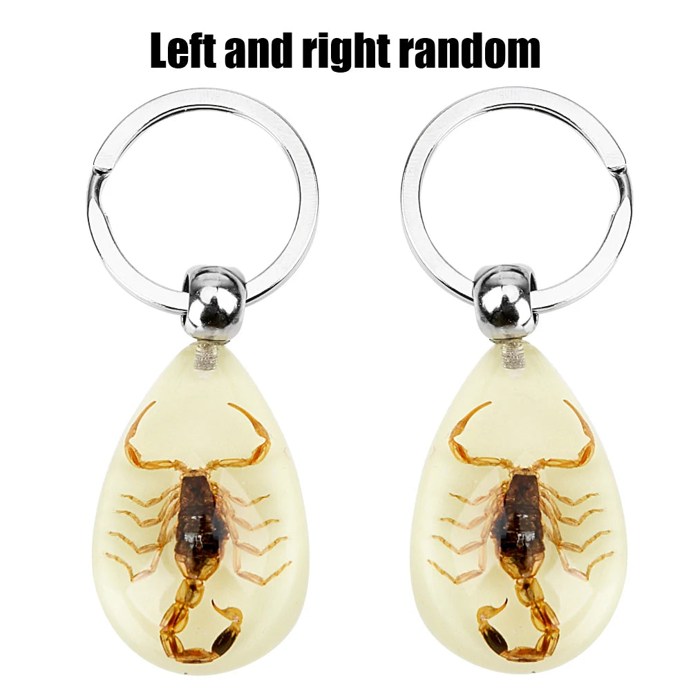 Car Keyring Keychain Handbag Wallet Pendant Noctilucent Key Rings Scorpion Amber Pendant Creative Scorpion Key Holder