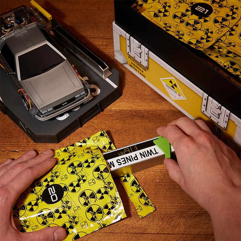 Back to the Future: Time Machine Model Kit